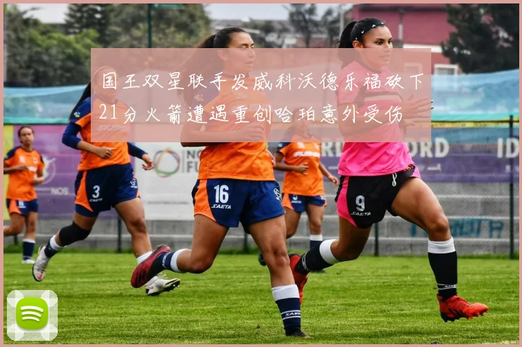 国王双星联手发威科沃德乐福砍下21分火箭遭遇重创哈珀意外受伤